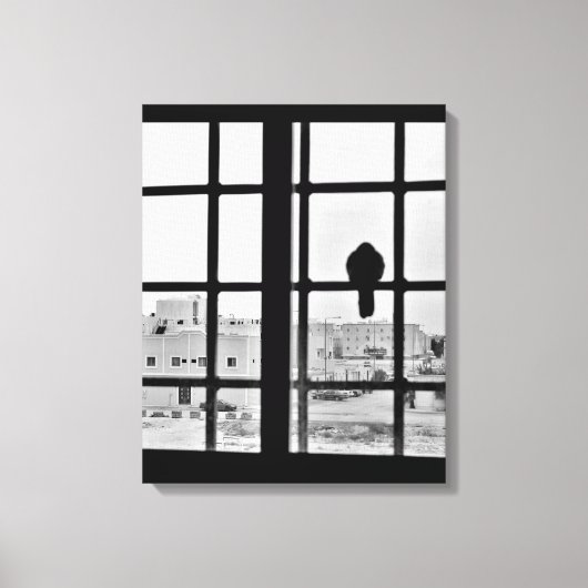 Napping Dove Leinwanddruck (Vorderseite)