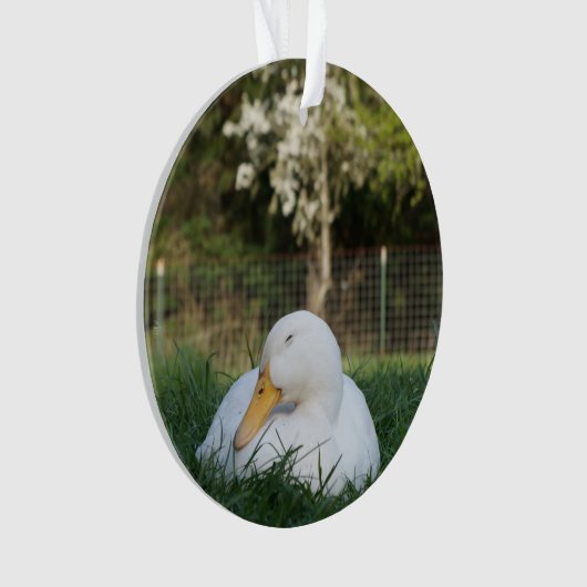 Napping-Ente Ornament (Vorderseite)