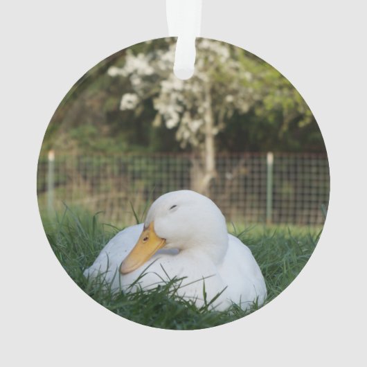 Napping-Ente Ornament (Rückseite)