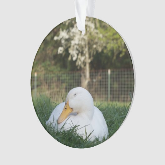 Napping-Ente Ornament (Vorderseite)