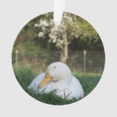 Napping-Ente Ornament (Vorderseite)