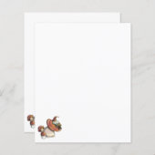 Napping Gnome (Vorne/Hinten)