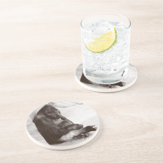 Napping Gorilla Fotograf Sandstein Untersetzer (Seite)