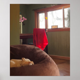 Napping Hund noch Leben Leinwand drucken Poster