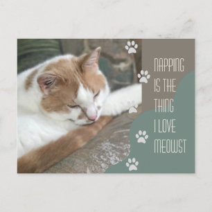 Napping ist das, was ich Liebe als Cat bezeichne Postkarte
