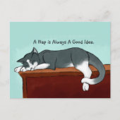 Napping Kitty Postkarte (Vorderseite)