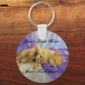 Napping Kitty Schlüsselanhänger (Vorderseite)