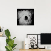 Napping Maltipoo Poster (Heimbüro)