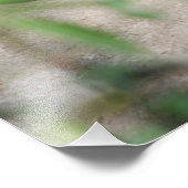 Napping Ocelot Fotodruck (Ecke)