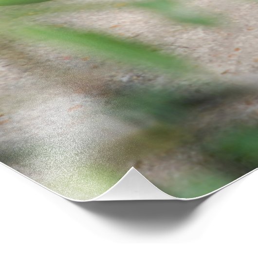 Napping Ocelot Fotodruck (Ecke)