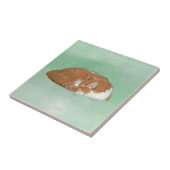 Napping Orange Kitty Fliese (Seite)