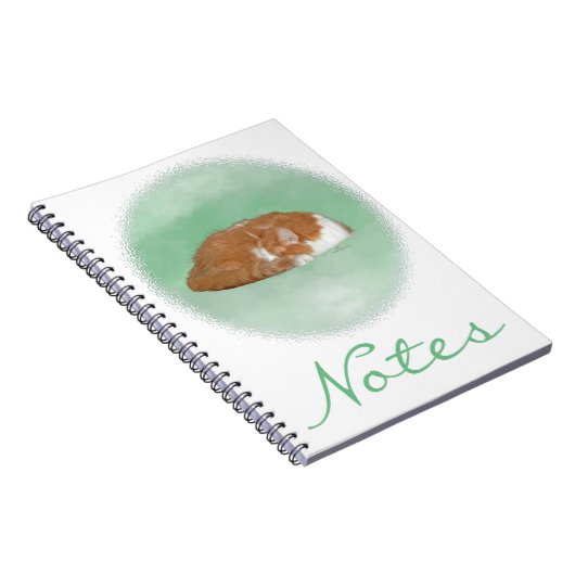 Napping Orange Kitty Notizblock (Rechte Seite)