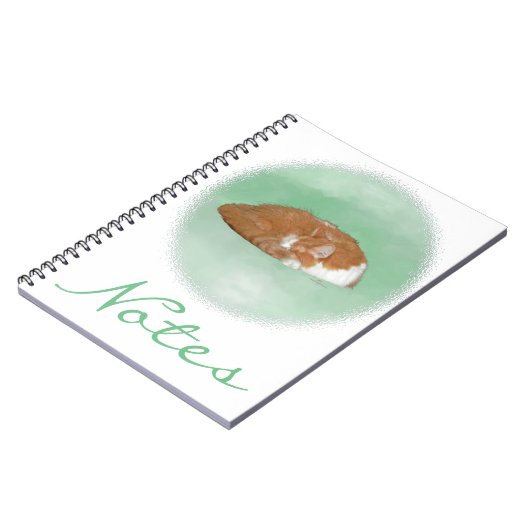 Napping Orange Kitty Notizblock (Linke Seite)