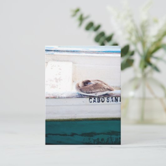 Napping Pelican Postkarte (Stehend Vorderseite)