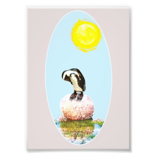Napping Pinguin in der Sonne Fotodruck (Vorne)