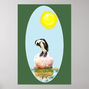 Napping Pinguin in der Sonne Poster