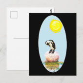 Napping Pinguin in der Sonne Postkarte (Vorne/Hinten)