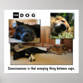 Napping Poster (Vorne)