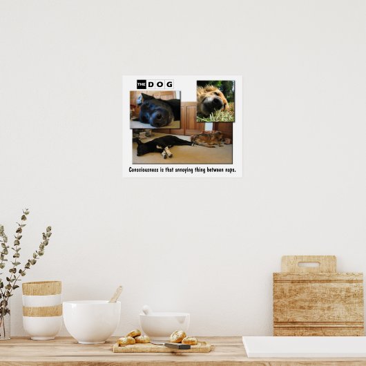 Napping Poster (Küche)