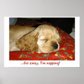 Napping Poster (Vorne)