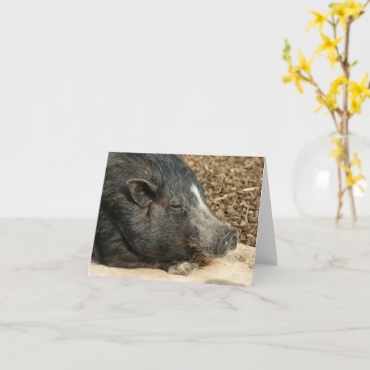 Napping Pot-Bellied Pig Card Karte (Gelbe Blume)