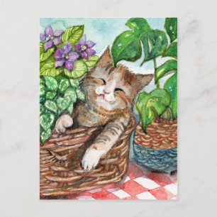 Napping-Therapie Postkarte