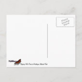 Napping Wild Ponies im Nationalpark Assateague Postkarte (Rückseite)