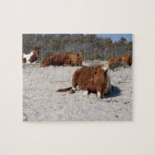 Napping Wild Ponies im Nationalpark Assateague Puzzle (Horizontal)