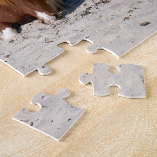 Napping Wild Ponies im Nationalpark Assateague Puzzle (Seite)
