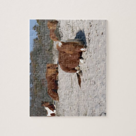 Napping Wild Ponies im Nationalpark Assateague Puzzle (Vertikal)