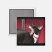 Naptime für Lucy Magnet (Vorderseite/Rückseite)