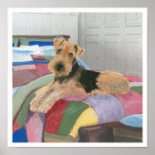 Naptime Poster (Vorne)