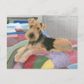 Naptime Postkarte (Vorderseite)