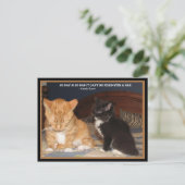 Naptime! Postkarte (Stehend Vorderseite)