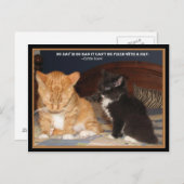 Naptime! Postkarte (Vorne/Hinten)