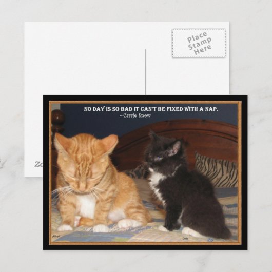 Naptime! Postkarte (Vorne/Hinten)