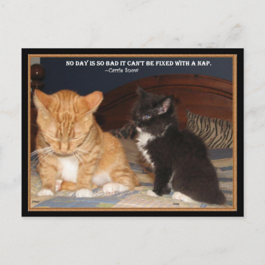 Naptime! Postkarte (Vorderseite)