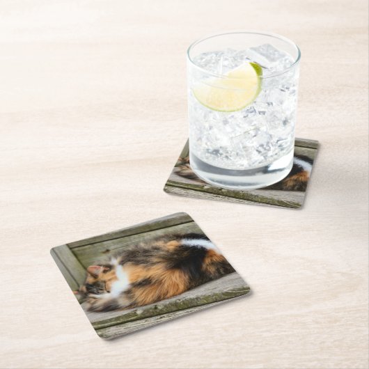 Naptime Rechteckiger Pappuntersetzer (Vor Ort)