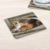 Naptime Rechteckiger Pappuntersetzer (angewinkelt)