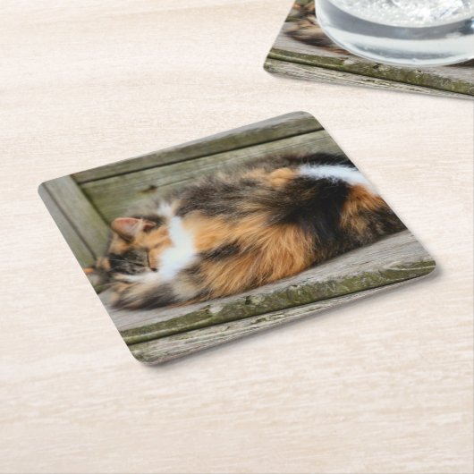 Naptime Rechteckiger Pappuntersetzer (angewinkelt)