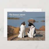 När dimman lättade CC0547 Sideby Postcard Postkarte (Vorne/Hinten)