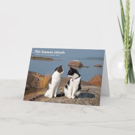 När dimman lättade CC0548 Sideby Grußkarte Karte (Vorderseite)