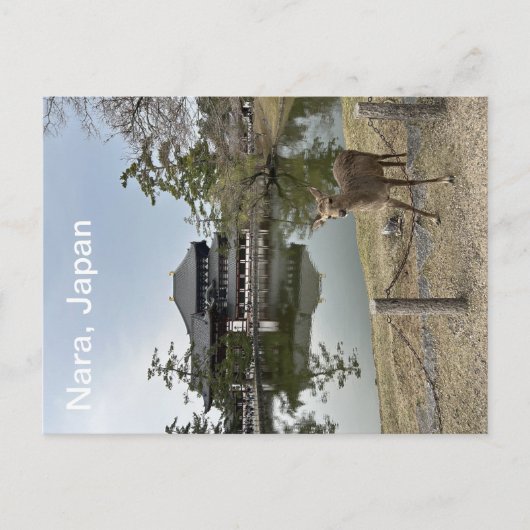 Nara, Japan, Postkarte (Vorderseite)