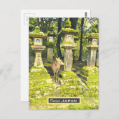 Nara Japan Reh Park Reiseprint Postkarte (Vorne/Hinten)