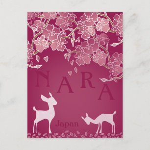 Nara Japan Sakura Deer Illustriert Postkarte