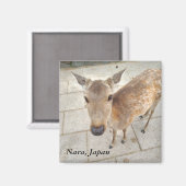Nara Japan Souvenir Foto Magnet (Vorderseite/Rückseite)