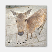 Nara Japan Souvenir Foto Magnet (Vorne)