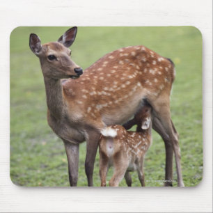 Nara-Präfektur, Honshu, Japan 2 Mousepad