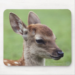 Nara-Präfektur, Honshu, Japan Mousepad