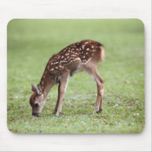 Nara-Präfektur, Honshu, Japan Mousepad